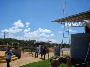 DSC07981