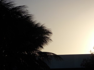 DSCN1200