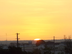 DSCN1205